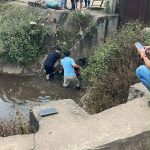 z7734940212299_b8e4733c9c7aca21877be71170d805fa